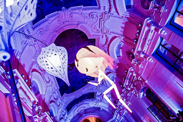 Slide Image